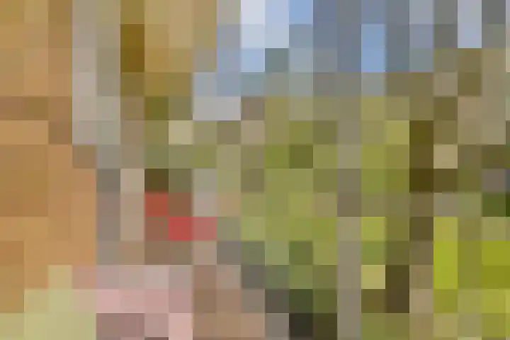 Willem de Zwijgerlaan 134 3 Amsterdam thumbnail 13