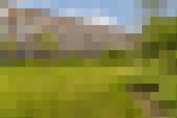 Willem de Zwijgerlaan 134 3 Amsterdam thumbnail 16
