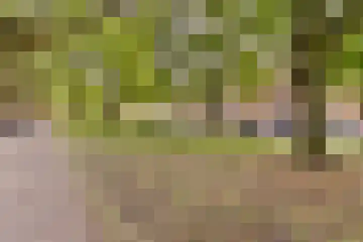 Willem de Zwijgerlaan 134 3 Amsterdam thumbnail 17