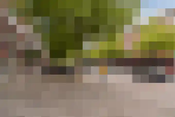 Willem de Zwijgerlaan 134 3 Amsterdam thumbnail 18