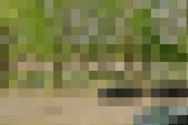 Willem de Zwijgerlaan 134 3 Amsterdam thumbnail 19
