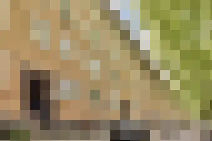 Willem de Zwijgerlaan 134 3 Amsterdam thumbnail 23