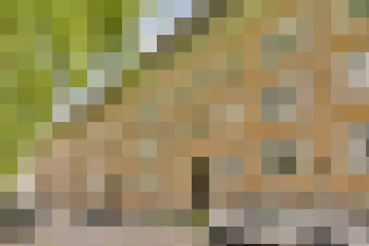 Willem de Zwijgerlaan 134 3 Amsterdam thumbnail 25