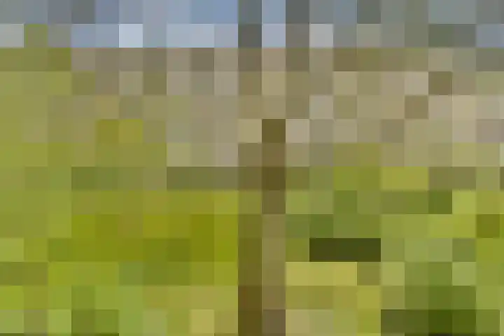Willem de Zwijgerlaan 134 3 Amsterdam thumbnail 4