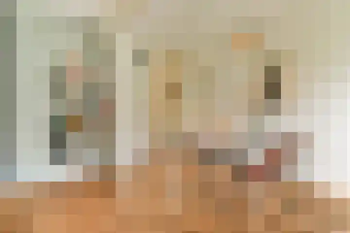 Willem de Zwijgerlaan 134 3 Amsterdam thumbnail 9