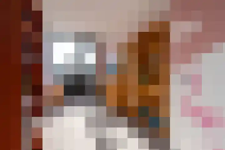 Willem de Zwijgerlaan 135 Woudenberg thumbnail 25