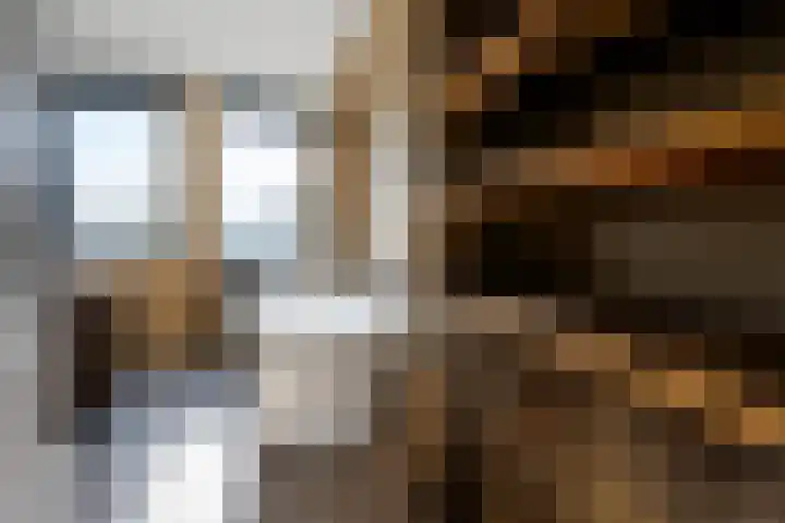 Willem de Zwijgerlaan 135 Woudenberg thumbnail 26