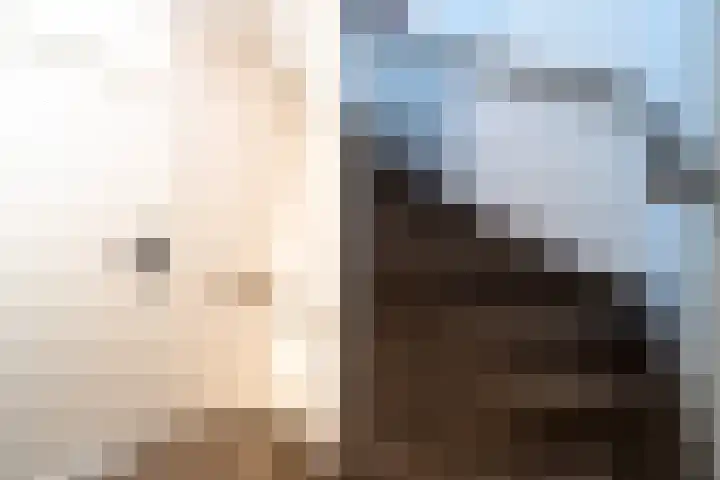 Willem de Zwijgerlaan 135 Woudenberg thumbnail 32