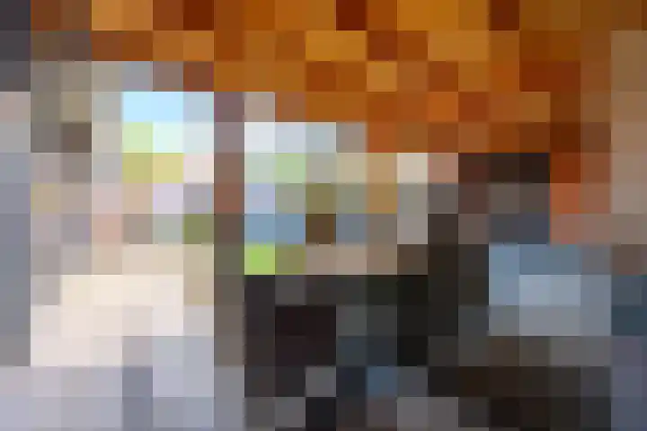 Willem de Zwijgerlaan 135 Woudenberg thumbnail 44