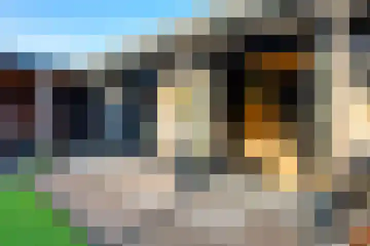 Willem de Zwijgerlaan 135 Woudenberg thumbnail 45