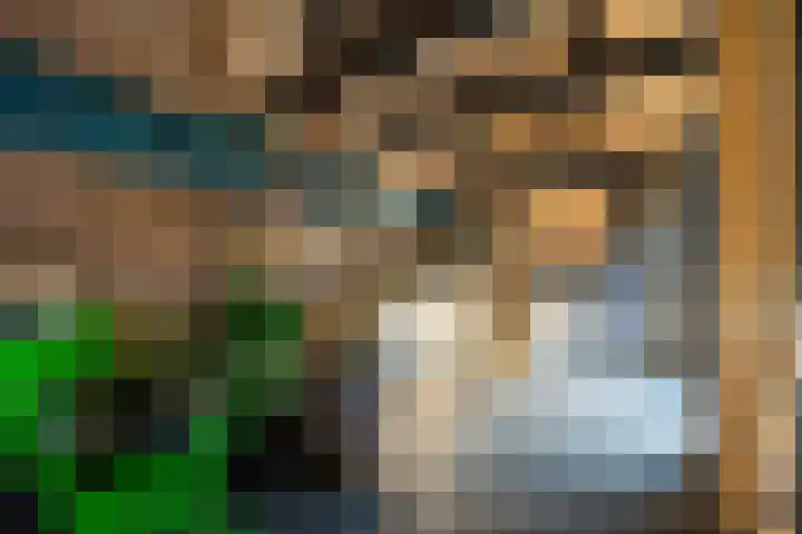 Willem de Zwijgerlaan 135 Woudenberg thumbnail 48