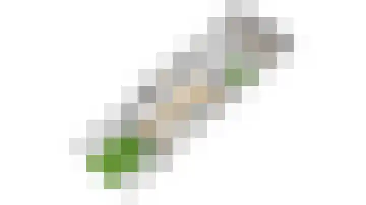 Willem de Zwijgerlaan 135 Woudenberg thumbnail 66