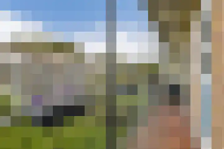 Willem de Zwijgerlaan 138 1 Amsterdam thumbnail 12