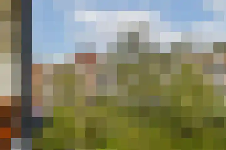 Willem de Zwijgerlaan 138 1 Amsterdam thumbnail 14