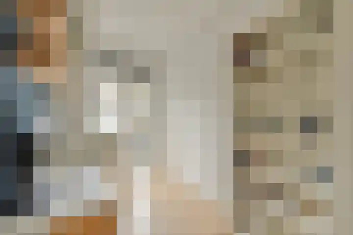 Willem de Zwijgerlaan 138 1 Amsterdam thumbnail 18