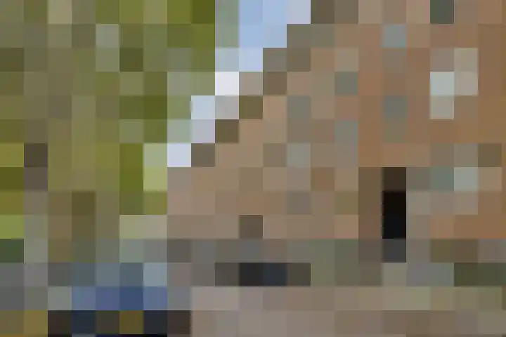 Willem de Zwijgerlaan 138 1 Amsterdam thumbnail 22