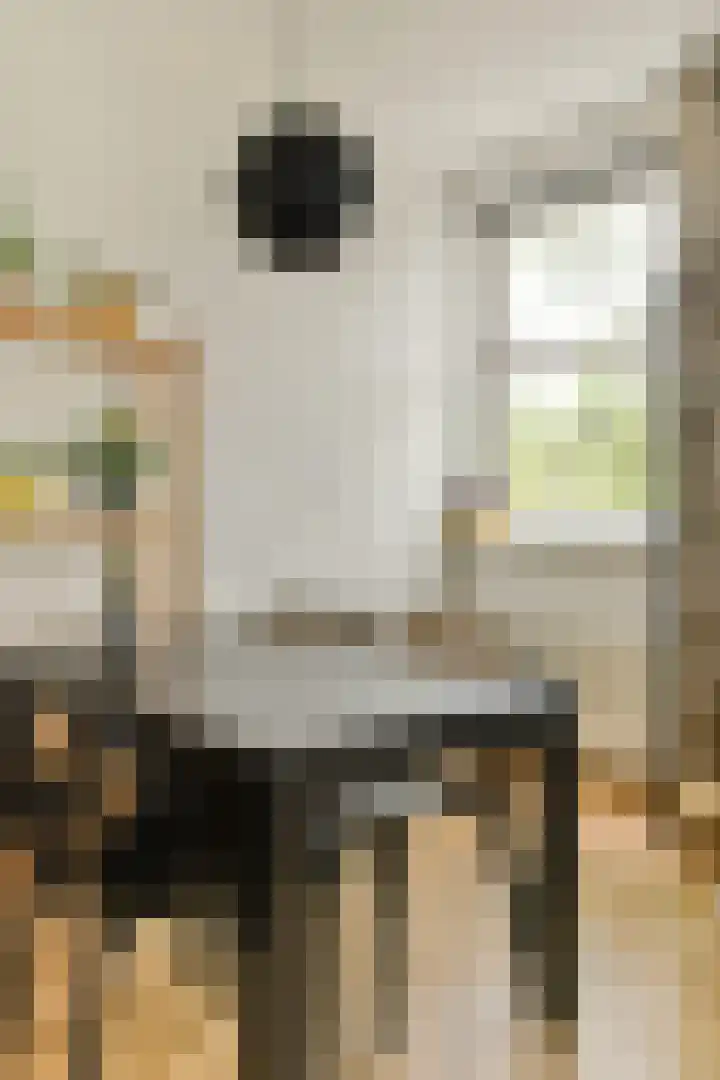 Willem de Zwijgerlaan 138 1 Amsterdam thumbnail 9