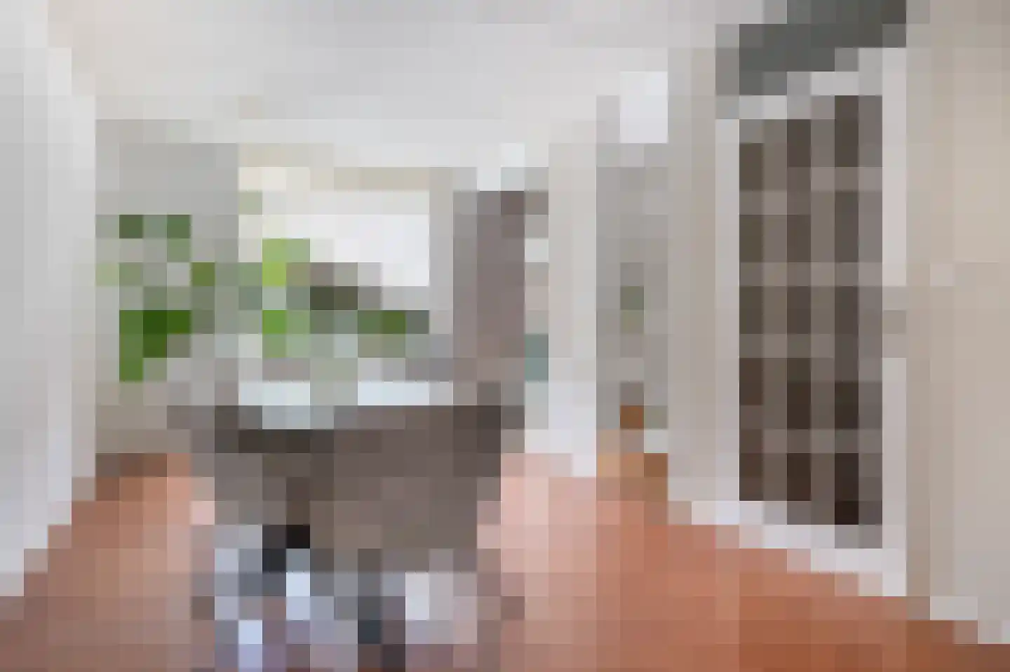 Willem de Zwijgerlaan 14 Bathmen thumbnail 10