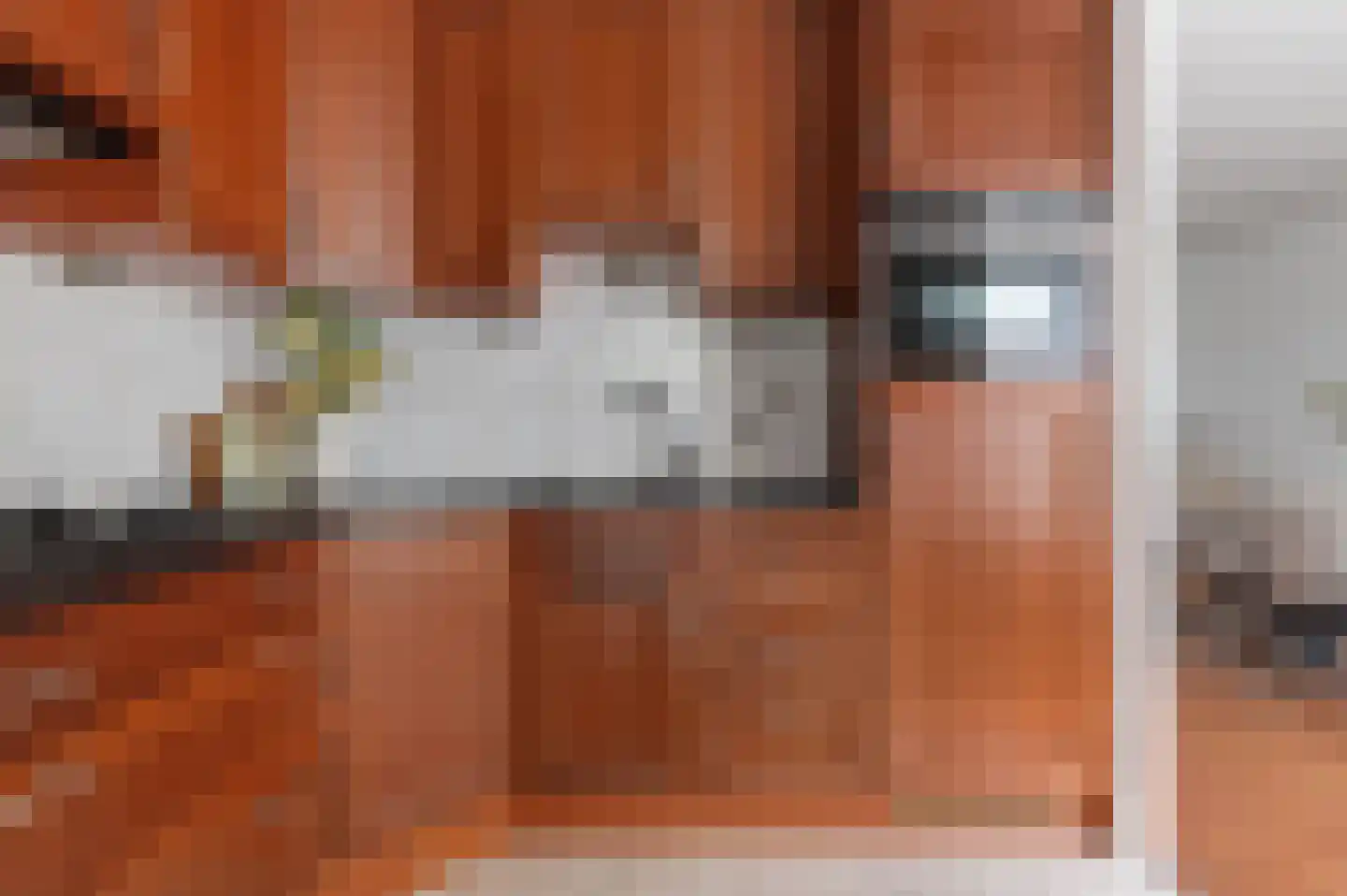 Willem de Zwijgerlaan 14 Bathmen thumbnail 12