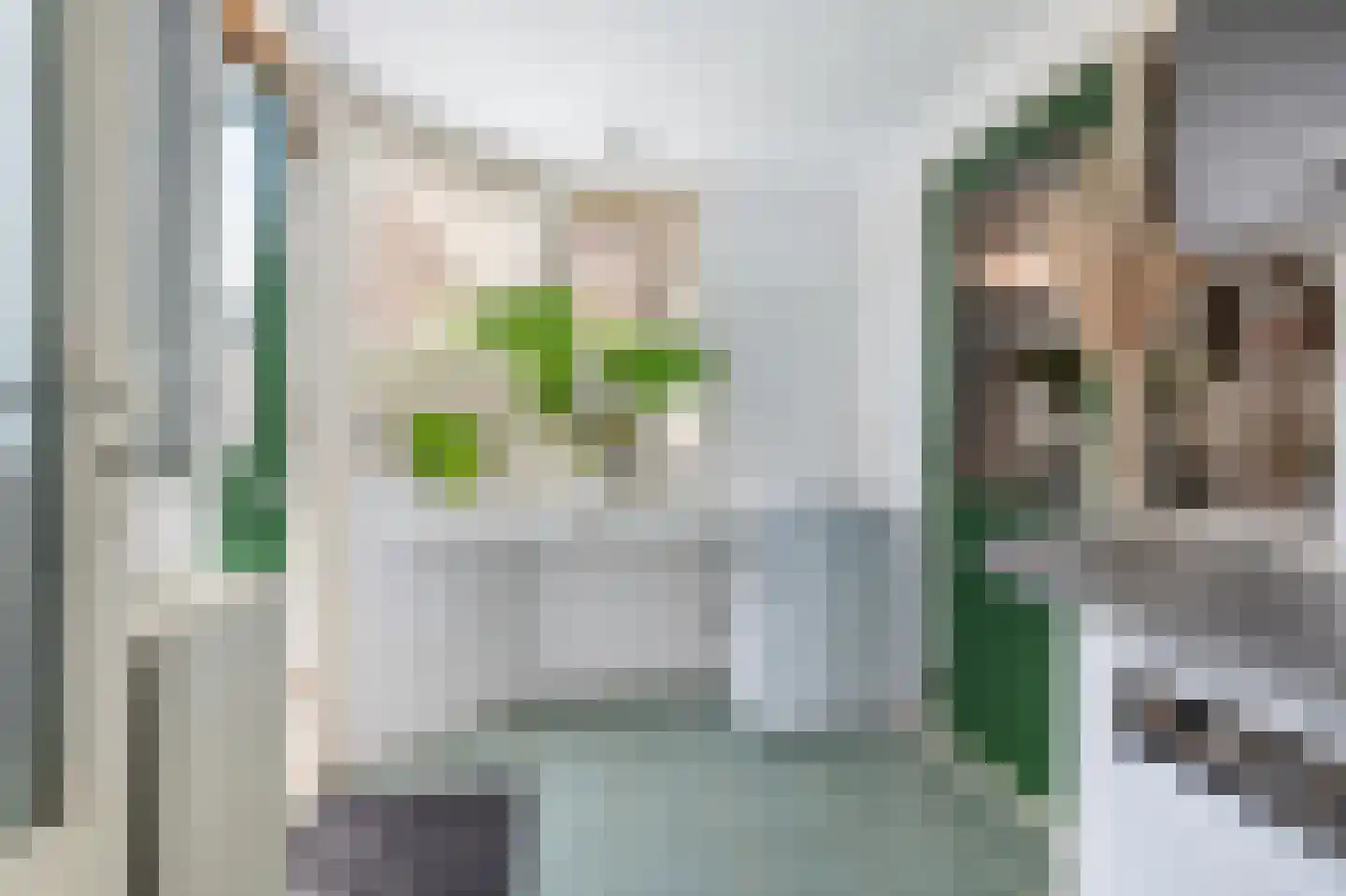 Willem de Zwijgerlaan 14 Bathmen thumbnail 13