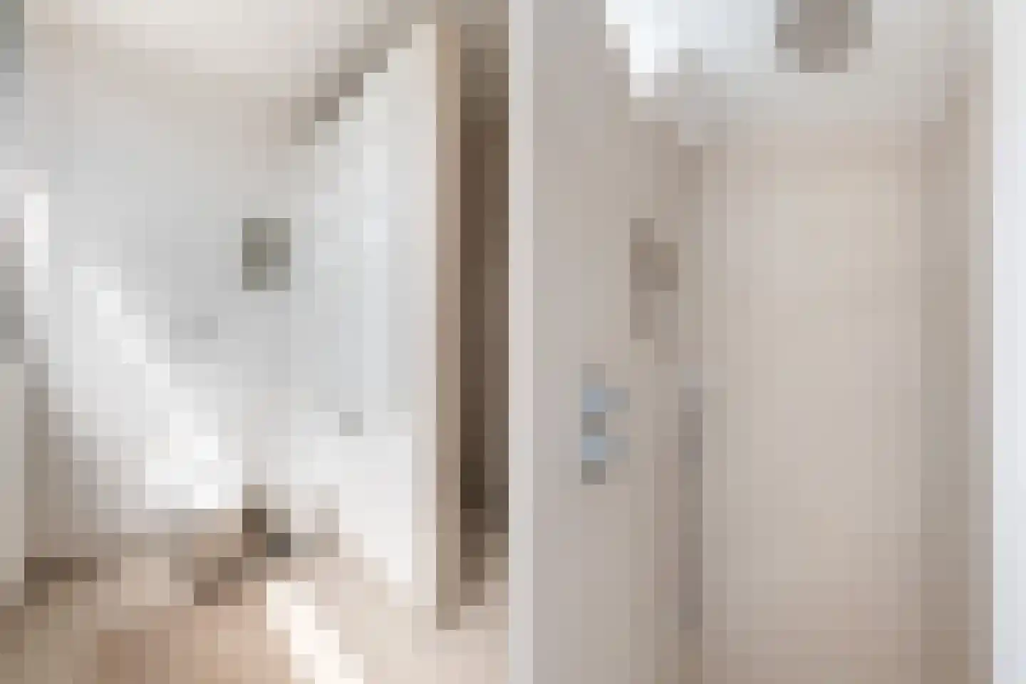 Willem de Zwijgerlaan 14 Bathmen thumbnail 20