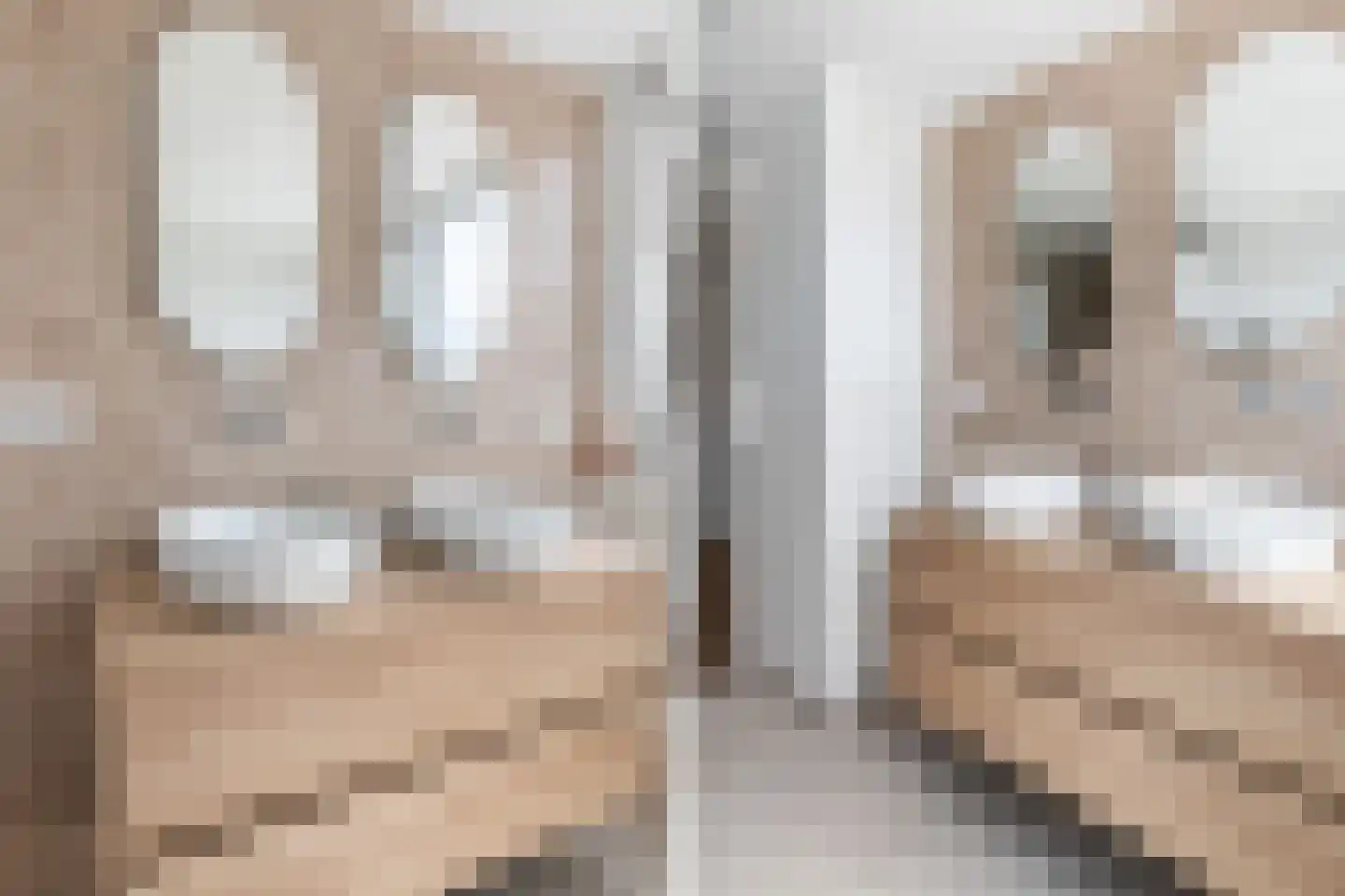 Willem de Zwijgerlaan 14 Bathmen thumbnail 21