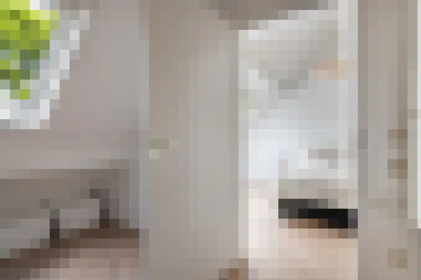 Willem de Zwijgerlaan 14 Bathmen thumbnail 22
