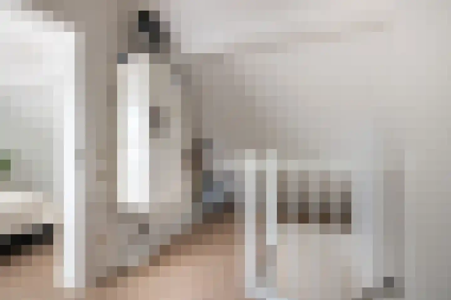 Willem de Zwijgerlaan 14 Bathmen thumbnail 23