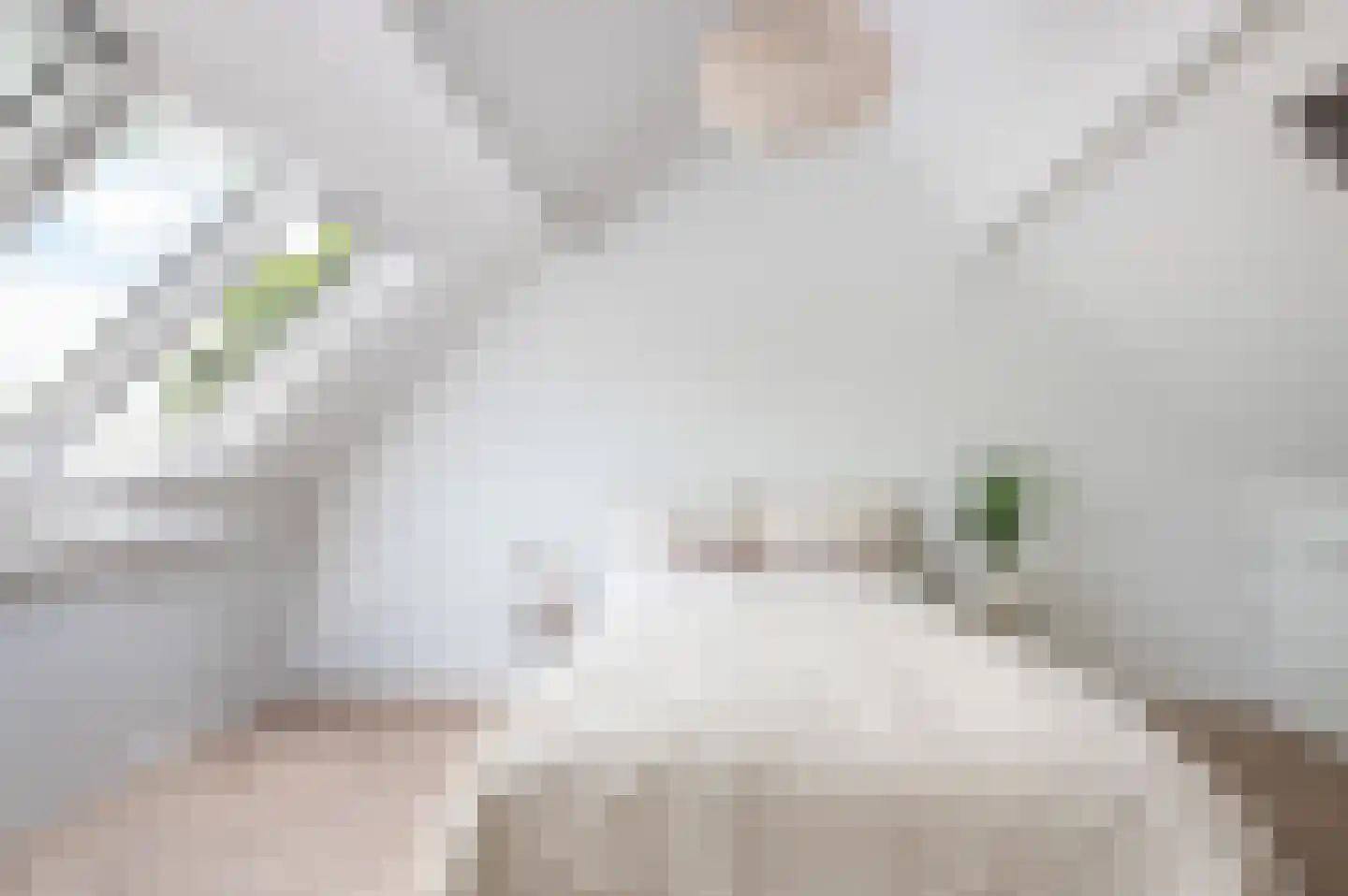 Willem de Zwijgerlaan 14 Bathmen thumbnail 24