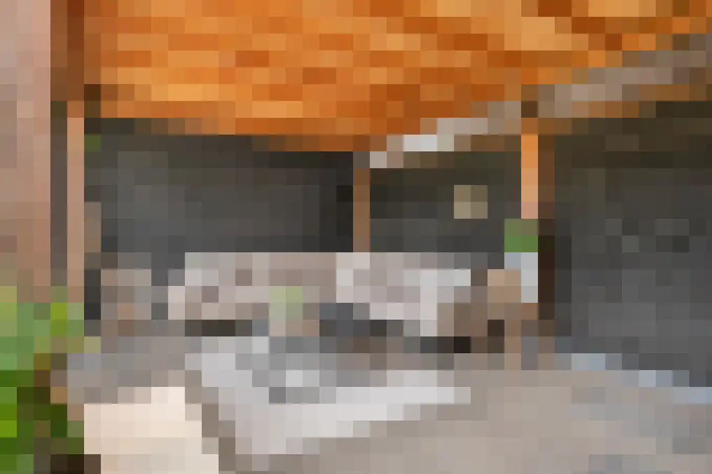 Willem de Zwijgerlaan 14 Bathmen thumbnail 28
