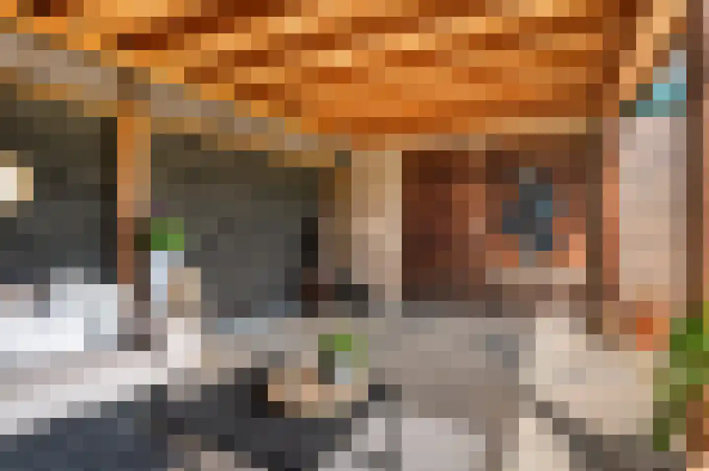 Willem de Zwijgerlaan 14 Bathmen thumbnail 29