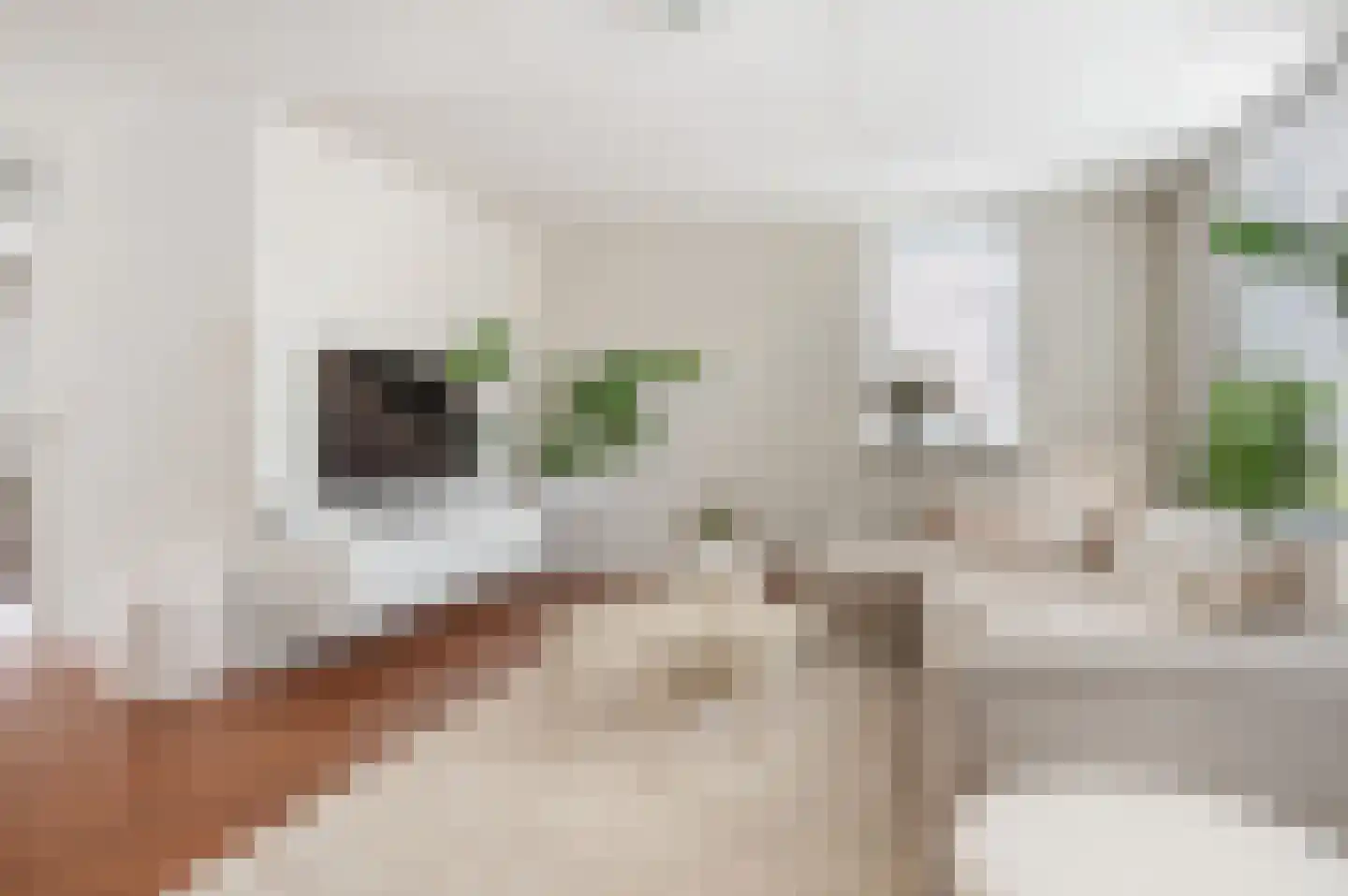 Willem de Zwijgerlaan 14 Bathmen thumbnail 4