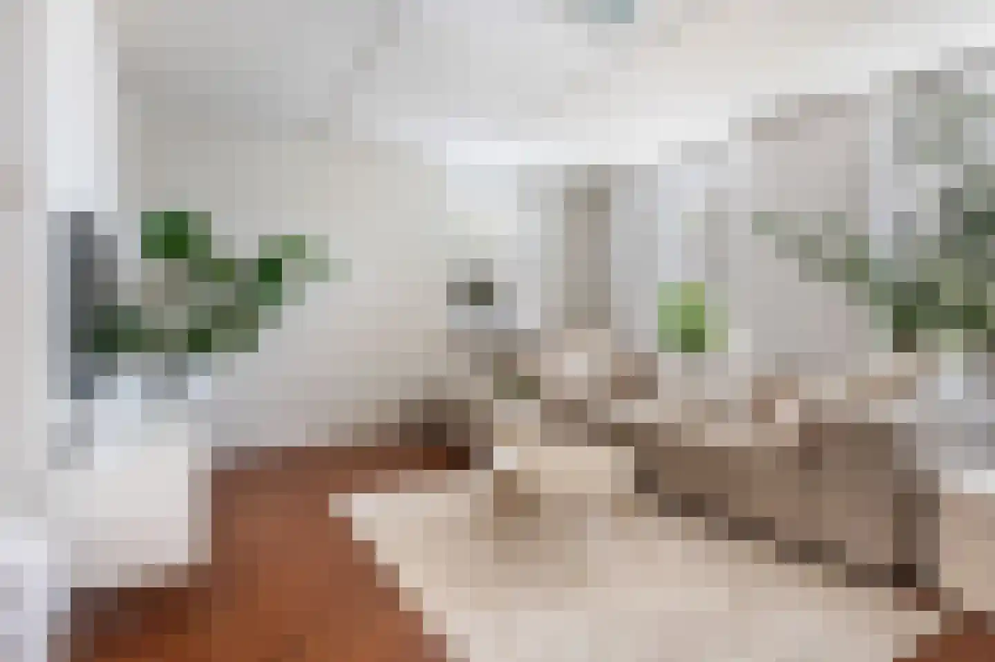 Willem de Zwijgerlaan 14 Bathmen thumbnail 5