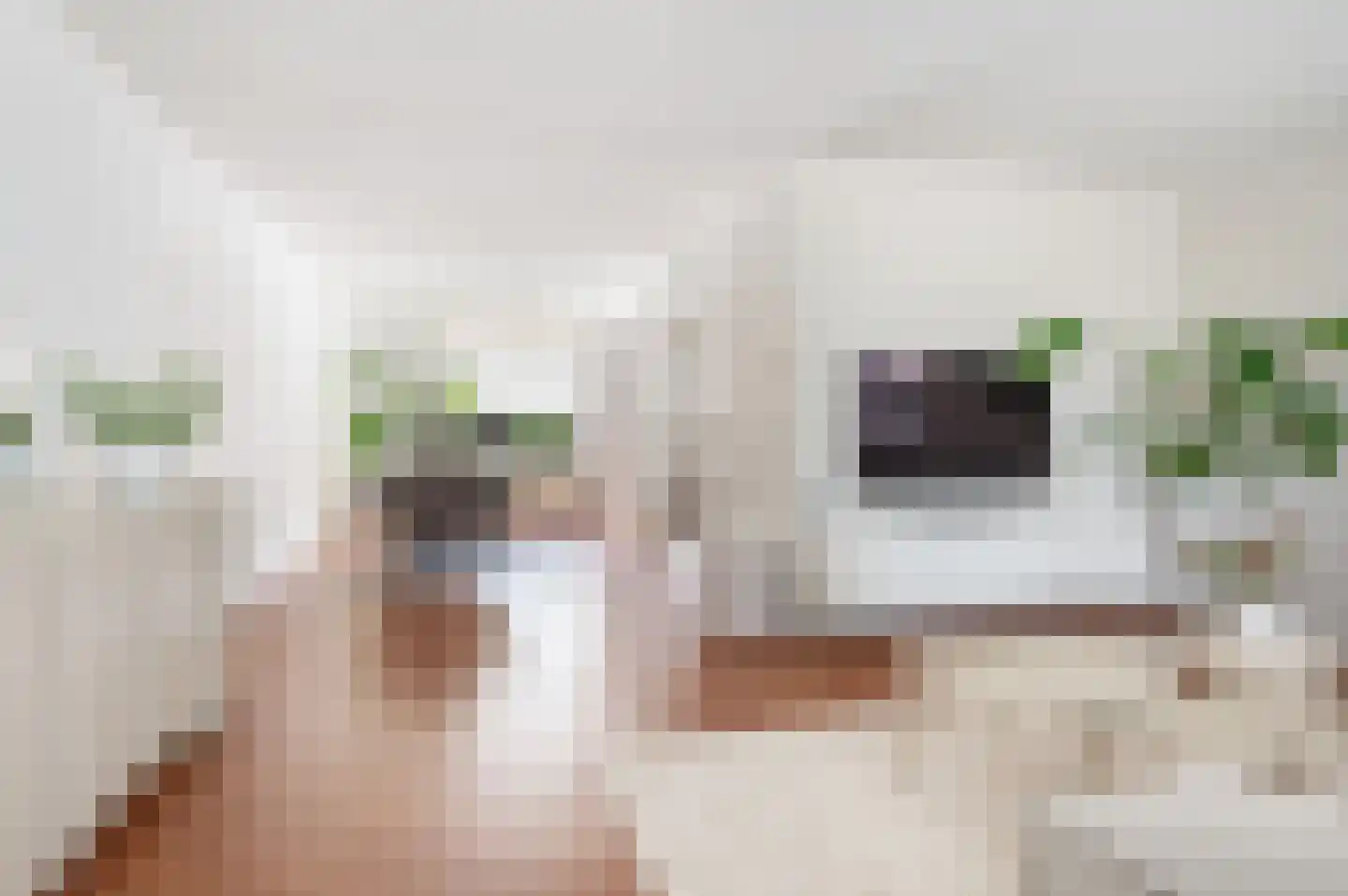 Willem de Zwijgerlaan 14 Bathmen thumbnail 6