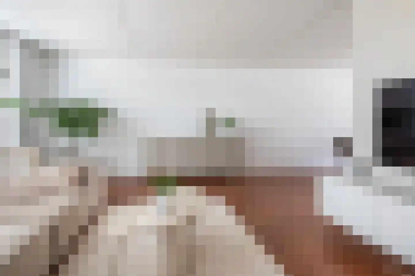 Willem de Zwijgerlaan 14 Bathmen thumbnail 7