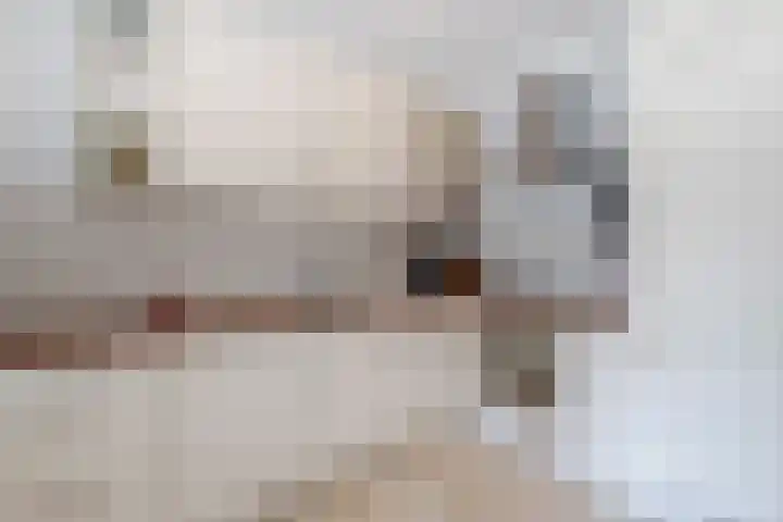 Willem de Zwijgerlaan 14 Giessenburg thumbnail 12