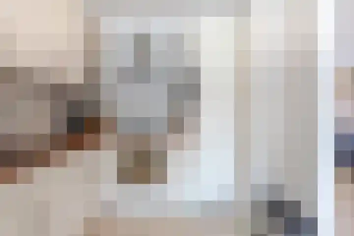 Willem de Zwijgerlaan 14 Giessenburg thumbnail 14