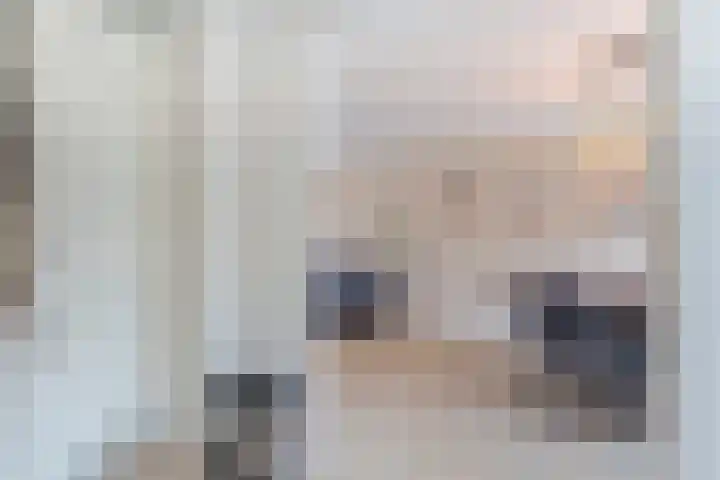 Willem de Zwijgerlaan 14 Giessenburg thumbnail 15