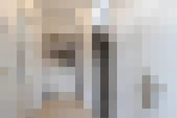 Willem de Zwijgerlaan 14 Giessenburg thumbnail 17