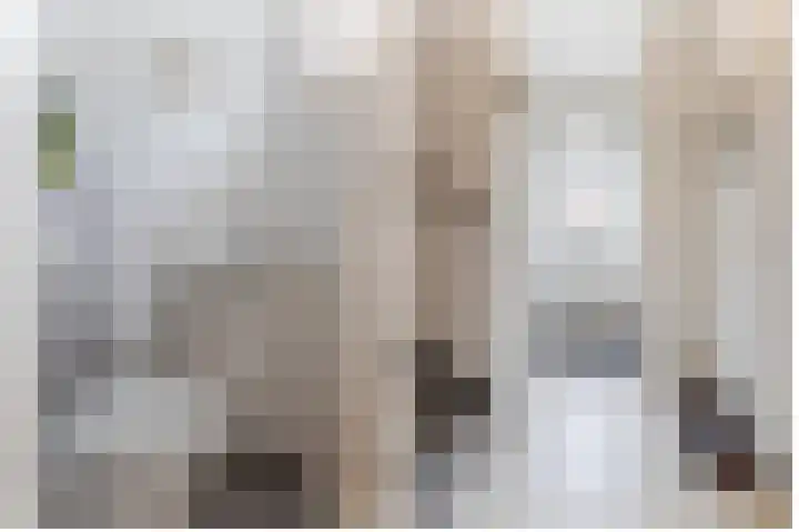 Willem de Zwijgerlaan 14 Giessenburg thumbnail 18