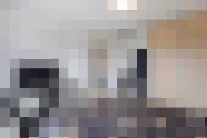 Willem de Zwijgerlaan 14 Giessenburg thumbnail 21