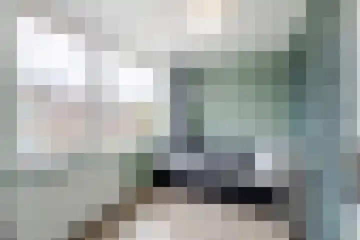 Willem de Zwijgerlaan 14 Giessenburg thumbnail 24