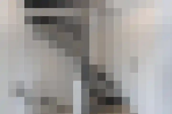 Willem de Zwijgerlaan 14 Giessenburg thumbnail 28