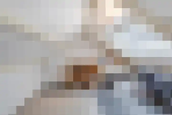 Willem de Zwijgerlaan 14 Giessenburg thumbnail 29