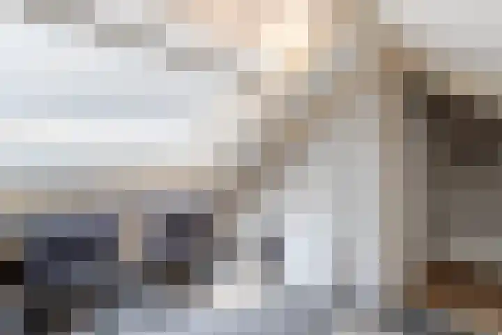 Willem de Zwijgerlaan 14 Giessenburg thumbnail 30