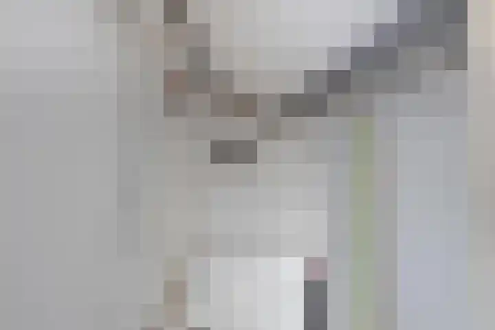 Willem de Zwijgerlaan 14 Giessenburg thumbnail 31