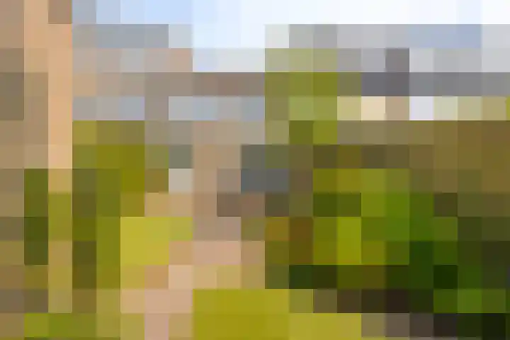 Willem de Zwijgerlaan 14 Giessenburg thumbnail 32