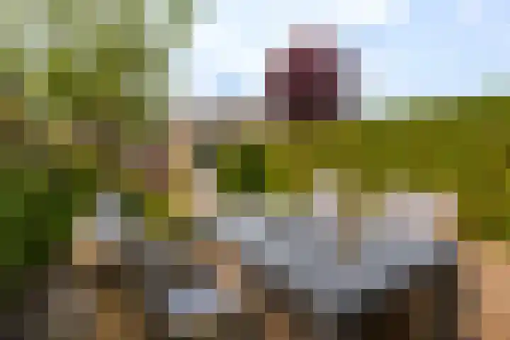 Willem de Zwijgerlaan 14 Giessenburg thumbnail 34