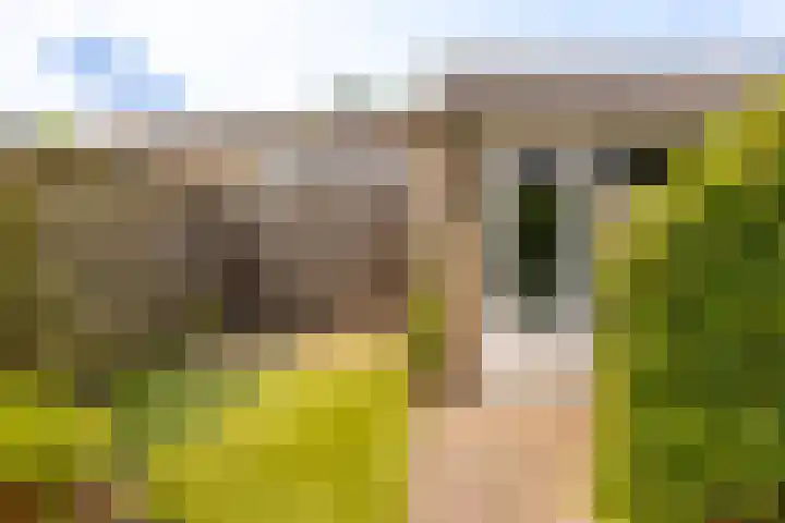 Willem de Zwijgerlaan 14 Giessenburg thumbnail 35
