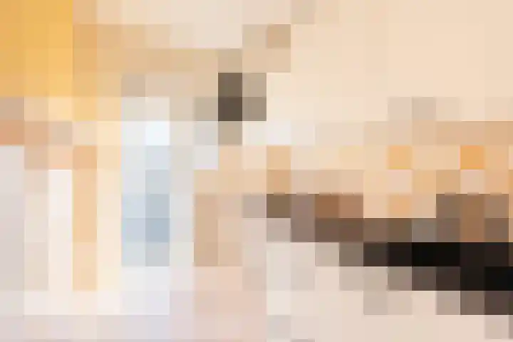 Willem de Zwijgerlaan 140 1 Amsterdam thumbnail 10